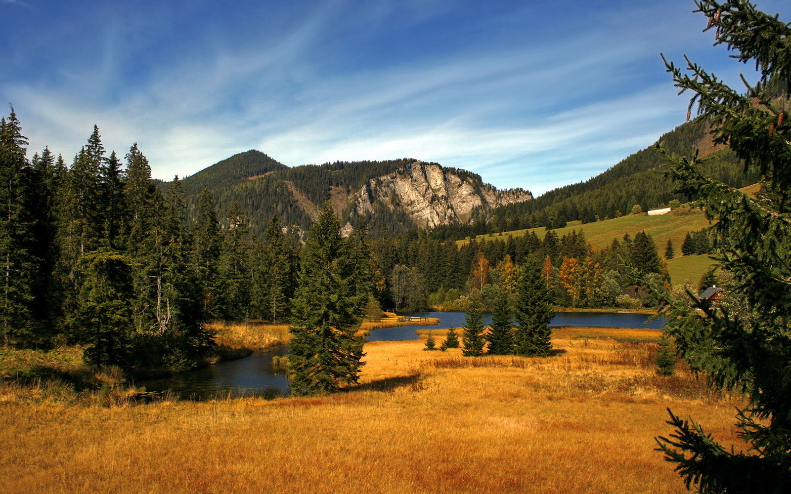 开云体育直播-冰与火的对决，波兰强势晋级背后的托尼压制级艺术